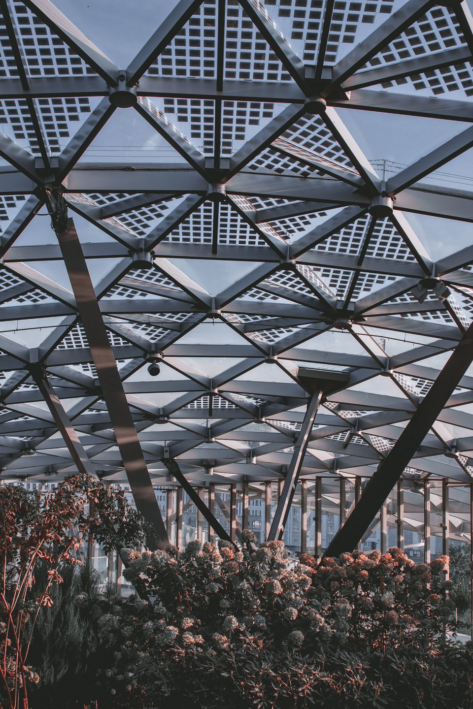 Steel frame and glass roof of a greenhouse. Style example, not an Arc Signage Co project.